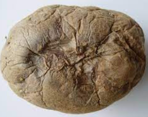 ΞΗΡΗ ΣΗΨΗ ΚΟΝΔΥΛΩΝ