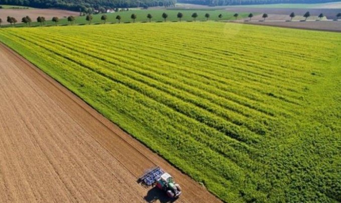 Αυτές είναι οι καλλιέργειες θα επιδοτηθούν στο Μέτρο 11 – Βιολογικές Καλλιέργειες