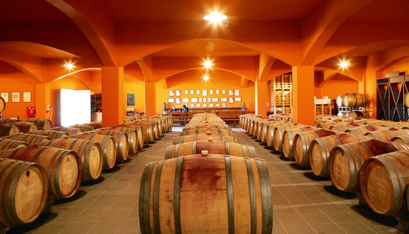 Πρόγραμμα επενδύσεων για επιχειρήσεις οινοπαραγωγής