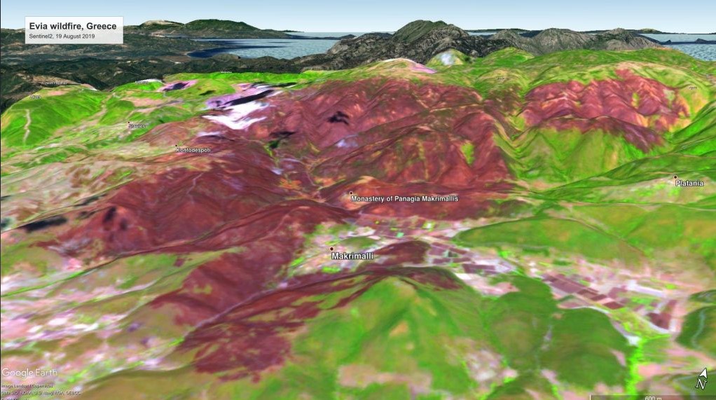 Γιατί βολεύουν οι καμένες δασικές εκτάσεις. Τι δραστηριότητες επιτρέπονται 