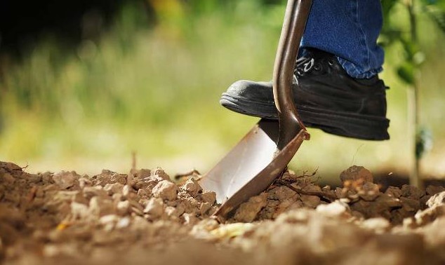 ΟΗΕ: Έως και το 40% της γης στον κόσμο έχει υποβαθμιστεί