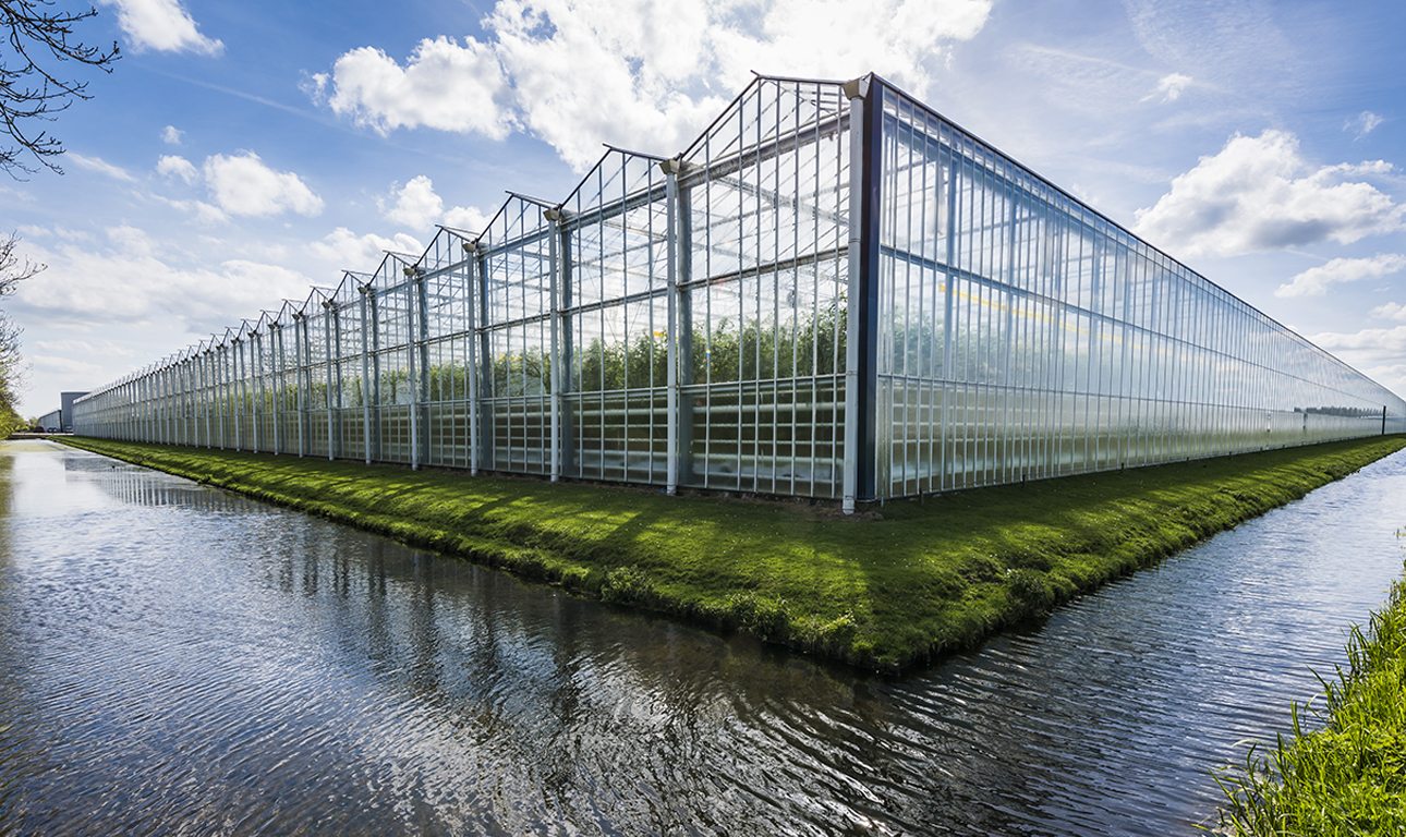 TO ΟΛΛΑΝΔΙΚΟ ΑΓΡΟΤΙΚΟ ΘΑΥΜΑ