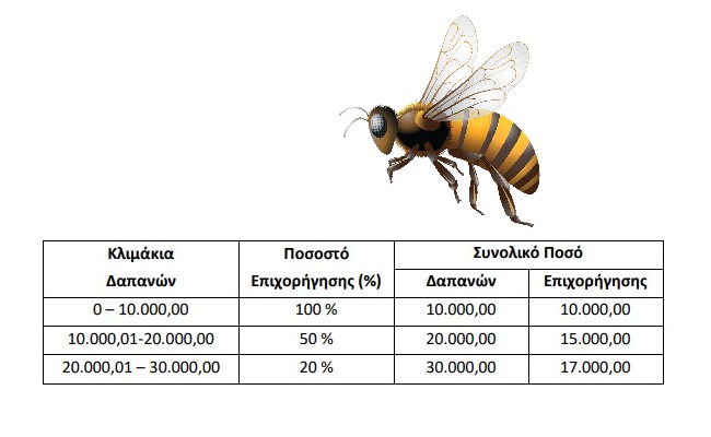 Ξεκινά η υποβολή αιτήσεων για προγράμματα μελισσοκομίας