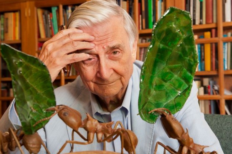 Πέθανε ο "σύγχρονος Δαρβίνος", Έντουαρντ Γουίλσον. Οι ανακαλύψεις για τον κόσμο των μυρμηγκιών