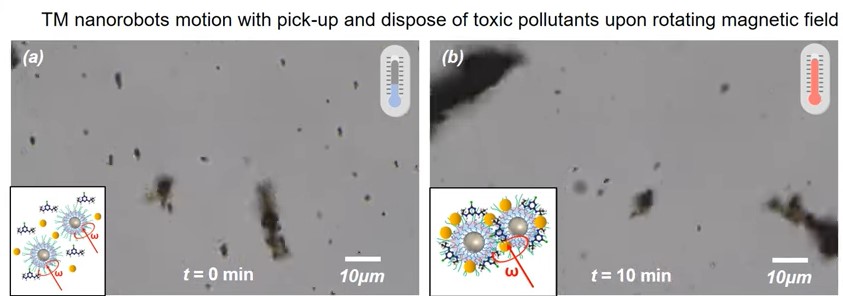 Δημιουργήθηκαν νανορομπότ που μπορούν να απομακρύνουν τη ρύπανση από το νερό - Βίντεο