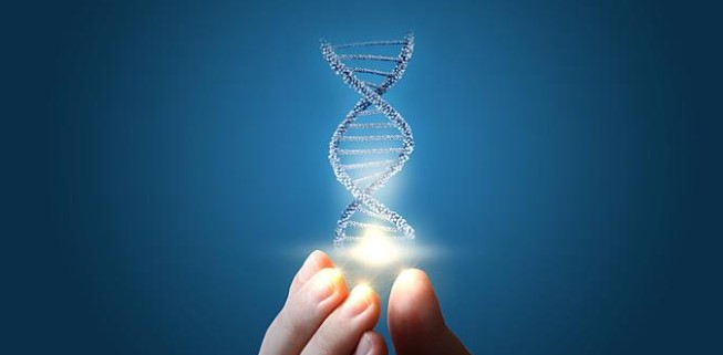 Για πρώτη φορά επιστήμονες αποκωδικοποίησαν πλήρως το Ανθρώπινο DNA