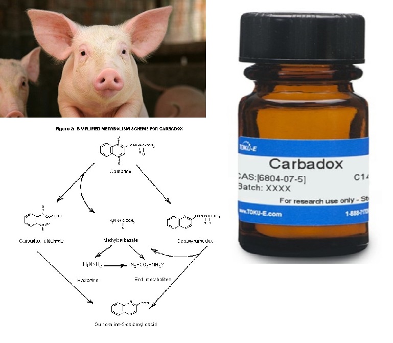 FDA: Το αντιβιοτικό carbadox που χορηγείται στους χοίρους, υπεύθυνο για καρκινογενέσεις στον Άνθρωπο. 