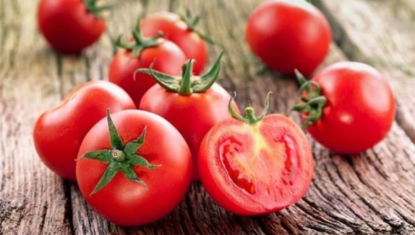 Δημιουργήθηκαν οι πρώτες ντομάτες που παράγουν έξτρα βιταμίνη D
