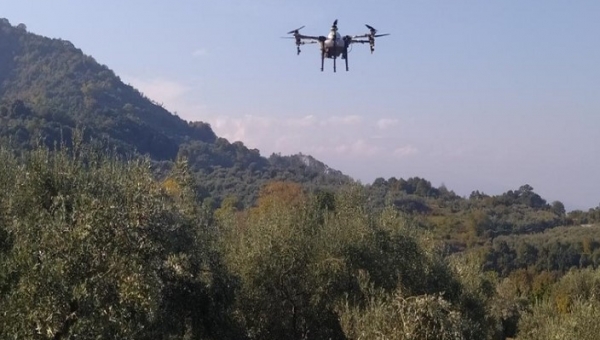 ΔΑΟΚ Σερρών: Τι ισχύει με τους αεροψεκασμούς φυτοφαρμάκων με drones