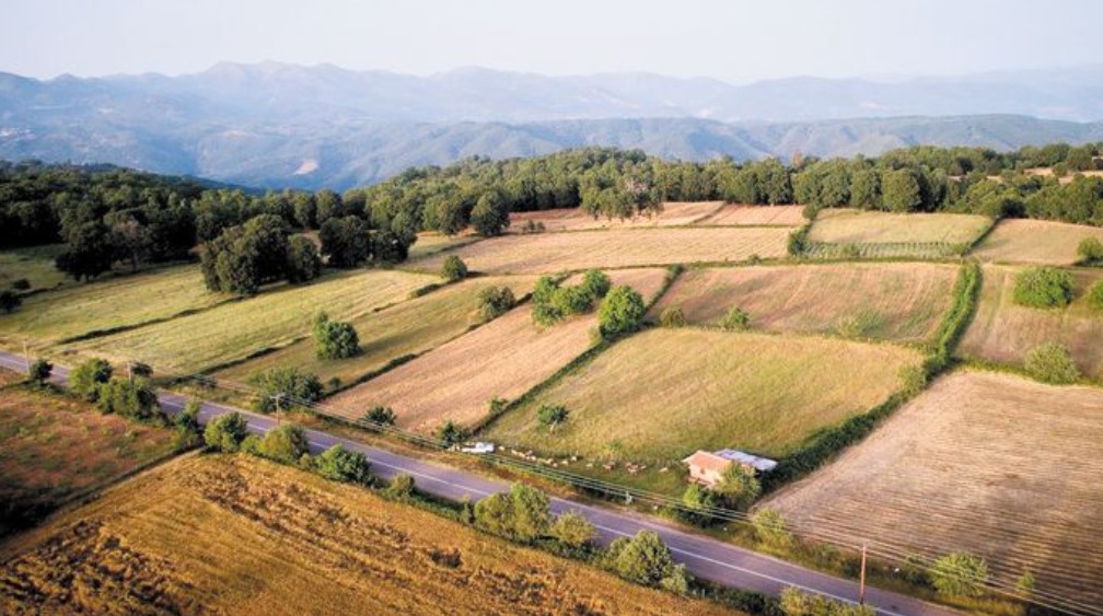 Στην Κοινωνία της Πληροφορίας Α.Ε. δόθηκε η σύνταξη των Σχεδίων Βόσκησης της Χώρας 