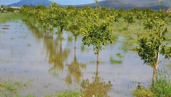Έκτακτοι έλεγχοι από το ΕΔΕΛ σε αγρότες που αποζημιώθηκαν για φυσικές καταστροφές / To ΦΕΚ