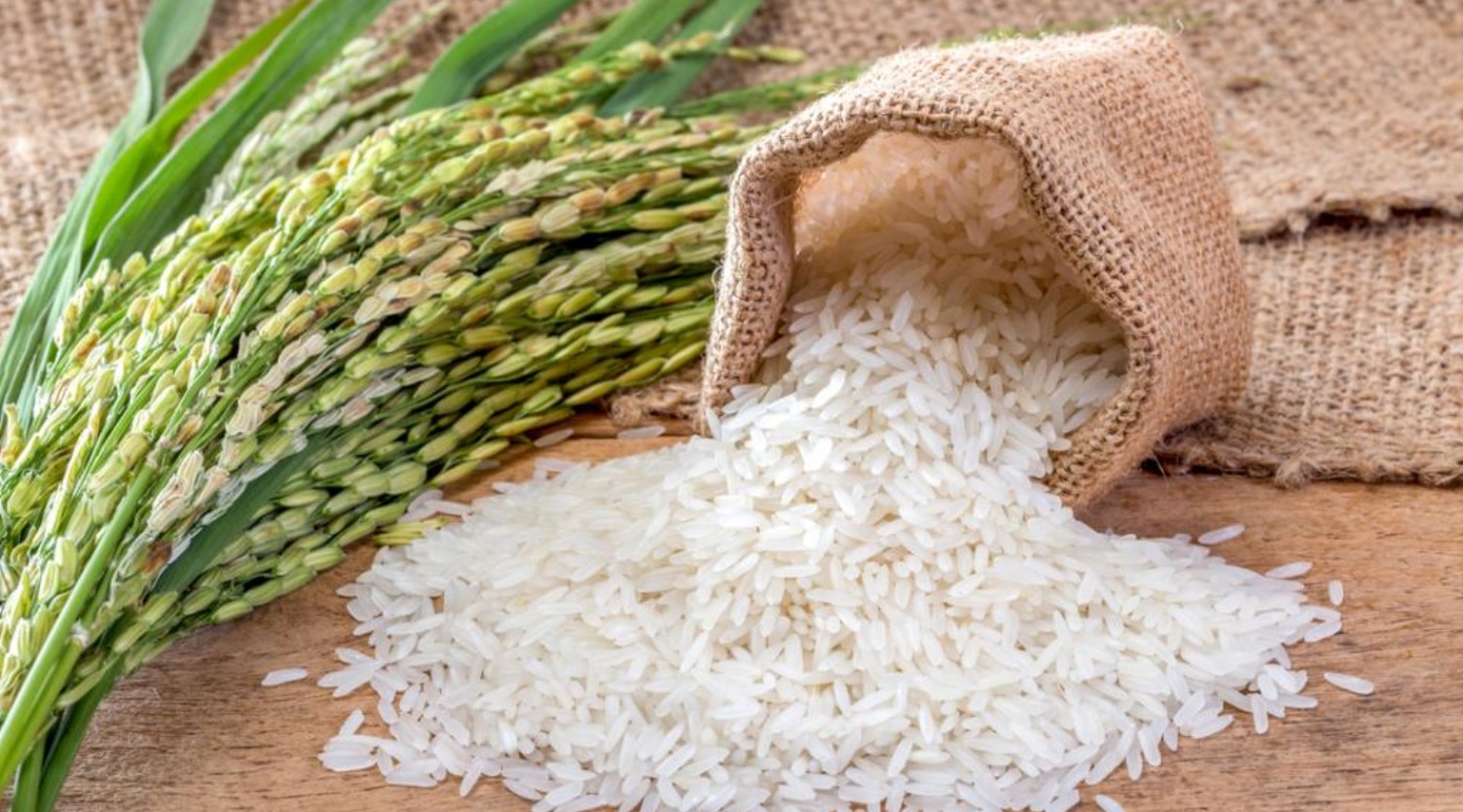 Εμπορικός πόλεμος ΗΠΑ-Ιαπωνίας για το ρύζι 