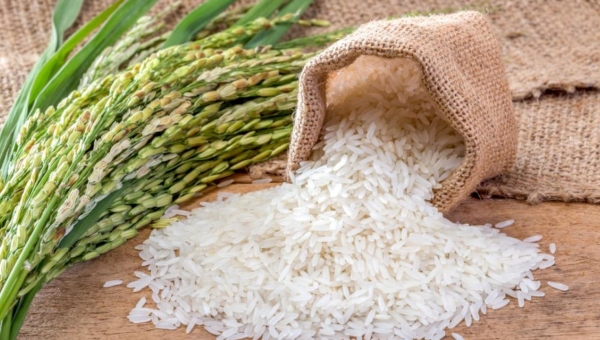Εμπορικός πόλεμος ΗΠΑ-Ιαπωνίας για το ρύζι 