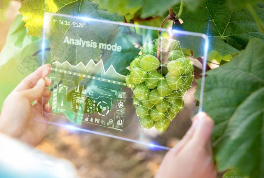 Big Data, Ψηφιακή ΚΑΠ. Ευκαιρία ή Φιάσκο για την ΕΕ;