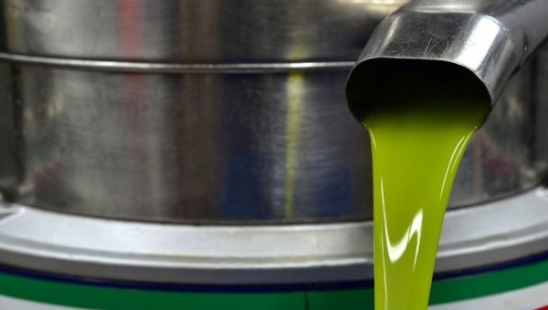 24,19% η αύξηση των εξαγωγών Ισπανικού Ελαιολάδου στις ΗΠΑ. Τι κάνει η Ελλάδα