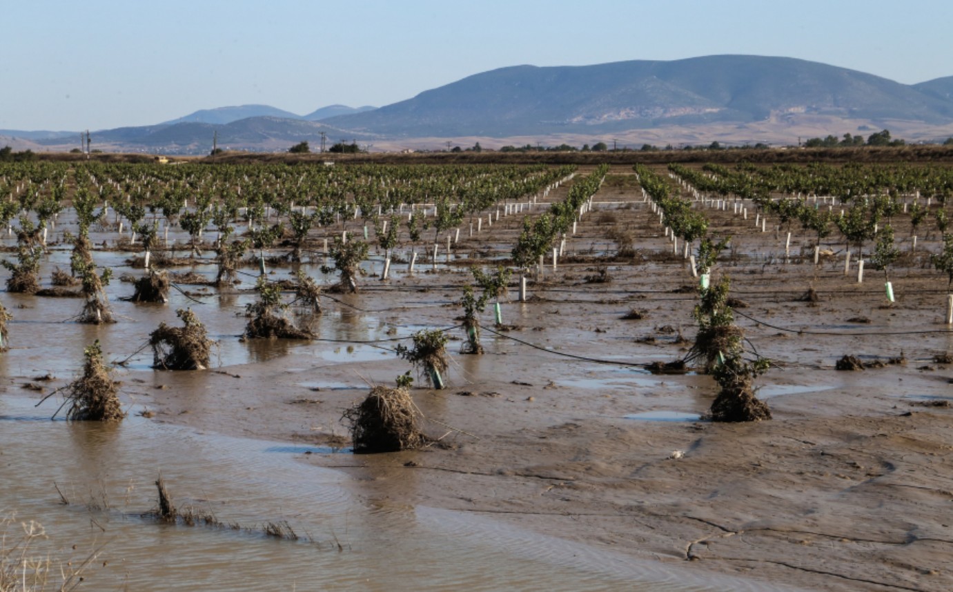 Ανακοίνωση του ΕΛΓΑ για τα καταβληθέντα στους αγρότες της Θεσσαλίας. 