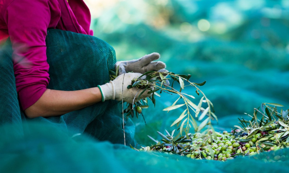 Η ΕΕ έμαθε για τον ξαφνικό θάνατο των βιολογικών από τις εφημερίδες 