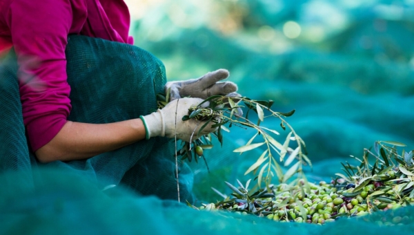 Η ΕΕ έμαθε για τον ξαφνικό θάνατο των βιολογικών από τις εφημερίδες 
