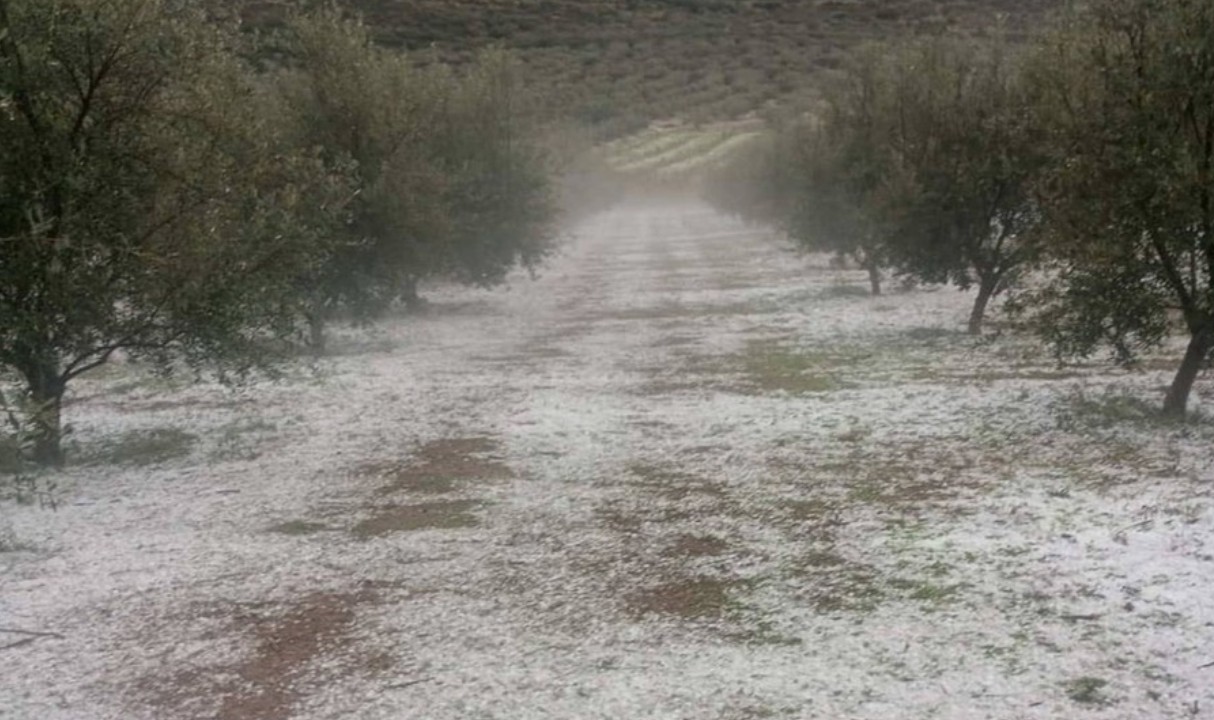 Σε ποιες περιοχές έπεσε χαλάζι σε Κορινθία-Αργολίδα