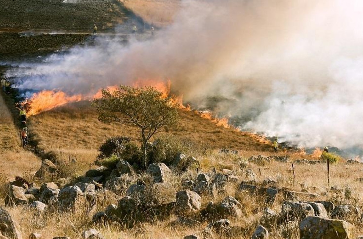 Νέα απόφαση για τα ΚΟΕ. Ο ρόλος του ΕΛΓΑ. Τι καλύπτεται. Η διαδικασία 